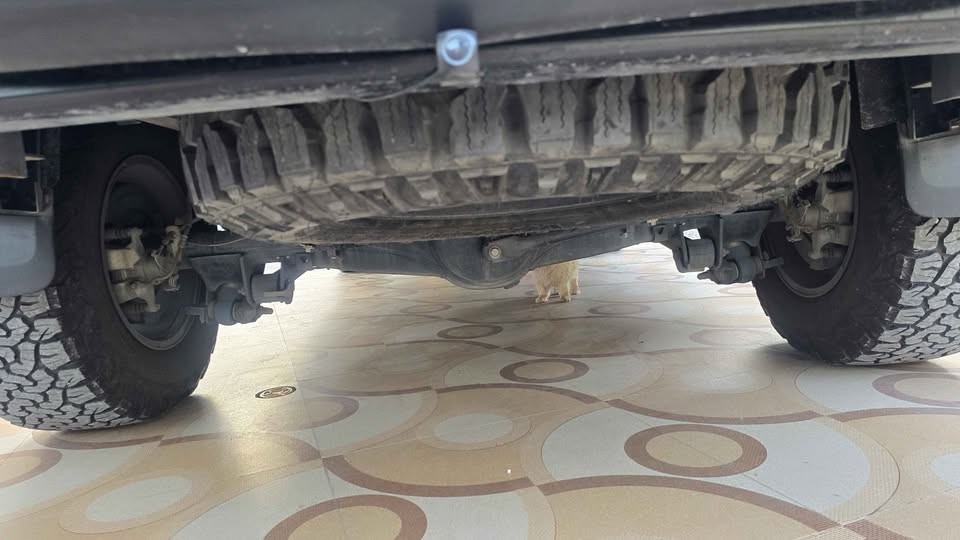 Used 1
                    FORD
                     for Sale Image